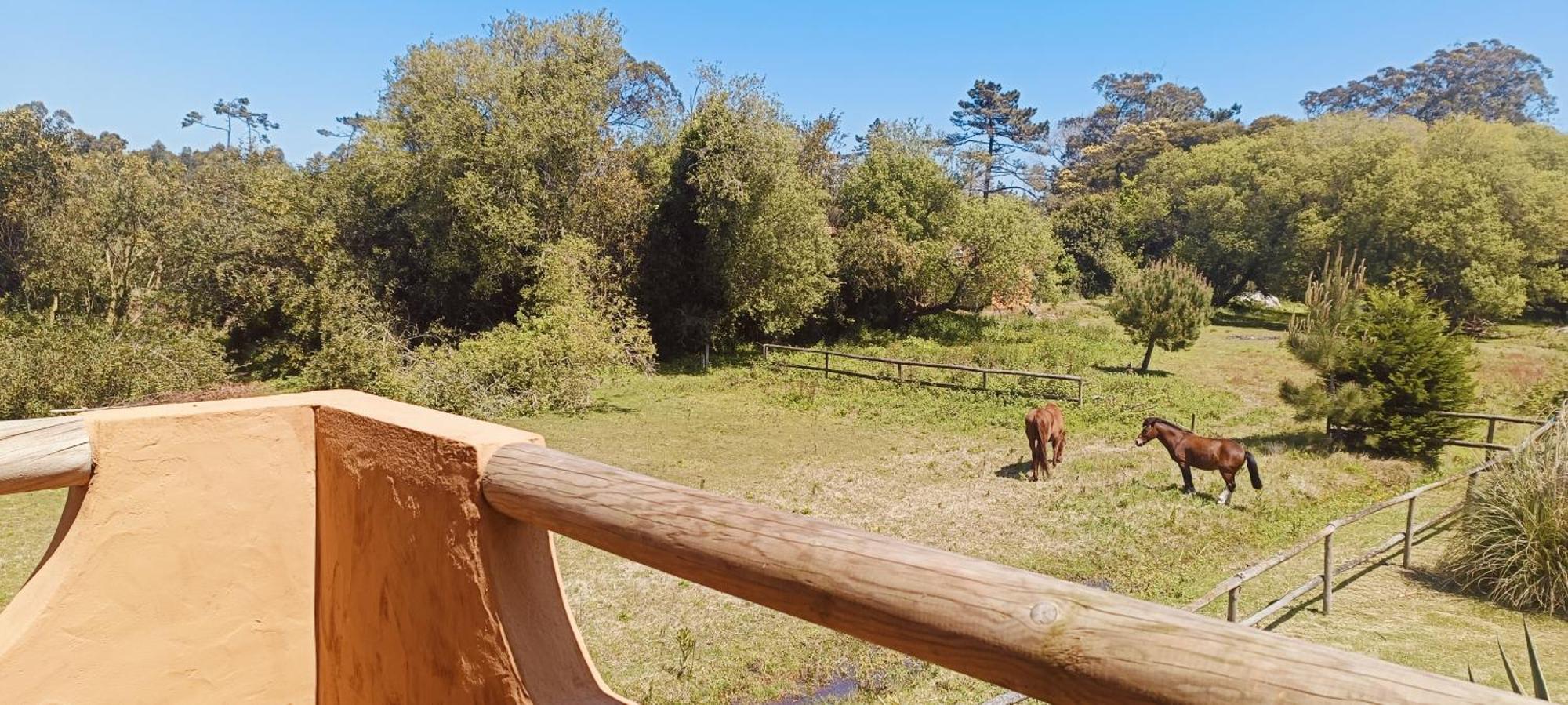 Vila Casas Da Barra Praia de Mira Pokoj fotografie